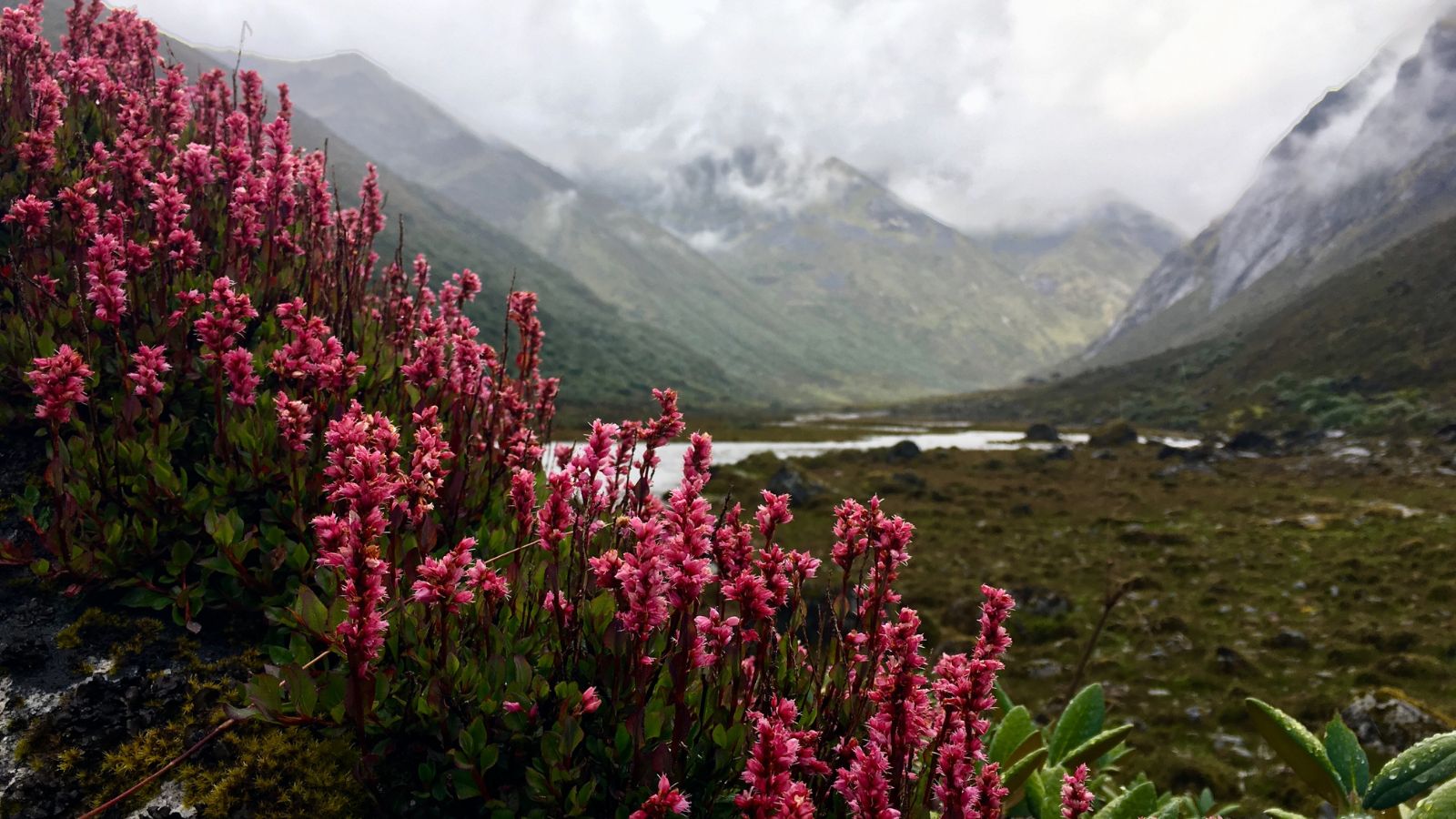 Sakteng Wildlife Sanctuary – Bhutan for Life