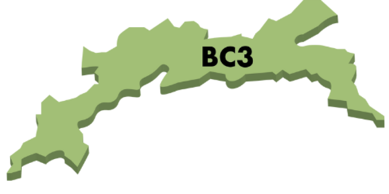 BC-3 Web