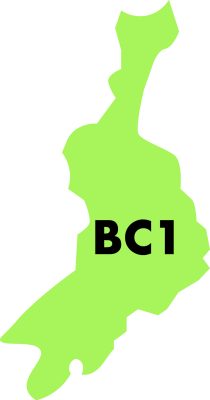 BC1 BC1