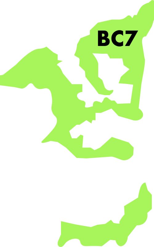 BC7 BC7