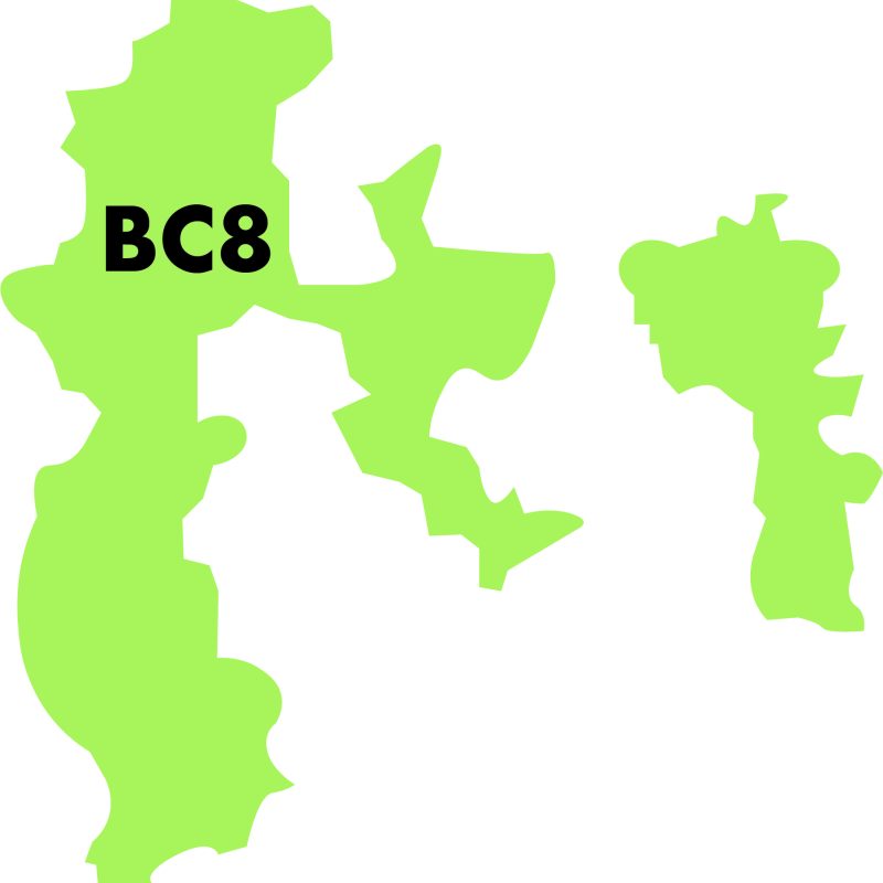 BC8 BC8
